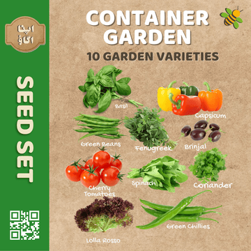 Container Garden Vegetable Seed Set - Apnaugao