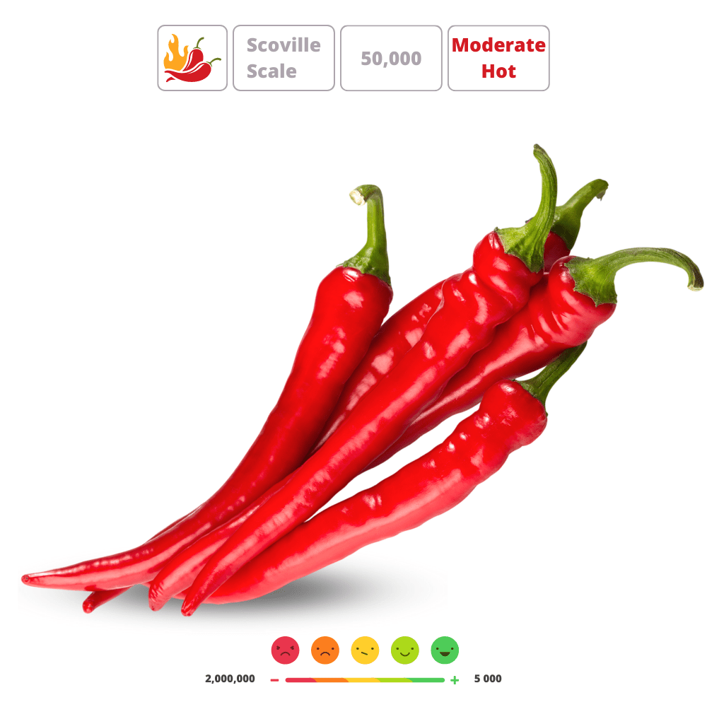 DE CAYENNE' Hot Chilli Pepper Seeds - Apnaugao
