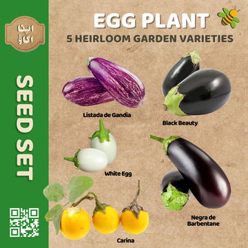 Heirloom Eggplant Seeds Set