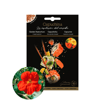 NASTURTIUM Edible Flower Seeds - Apnaugao