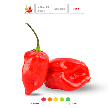 HABANERO RED' Hot Chilli Pepper Seeds - Apnaugao