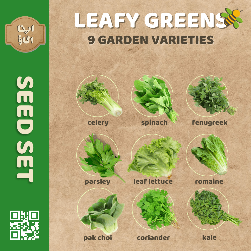 Leafy Greens Seeds Set - Apnaugao