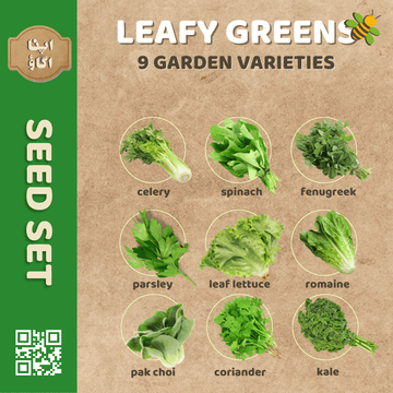 Leafy Greens Seeds Set - Apnaugao