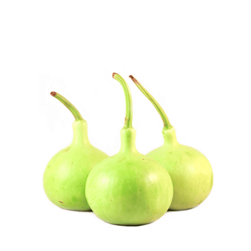 Round Green Gourd ( Ghiyya Kadu ) Seeds - Apnaugao