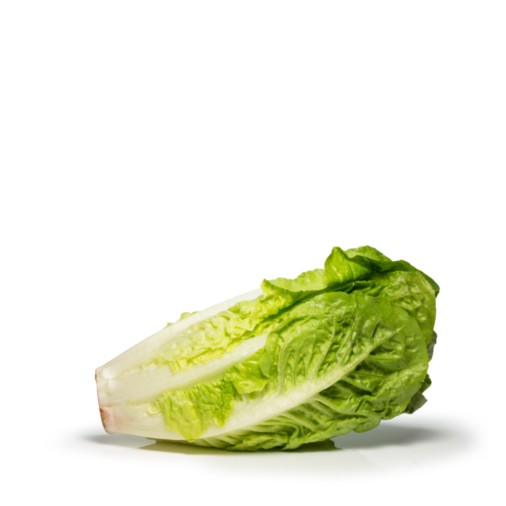 romaine lettuce fruit