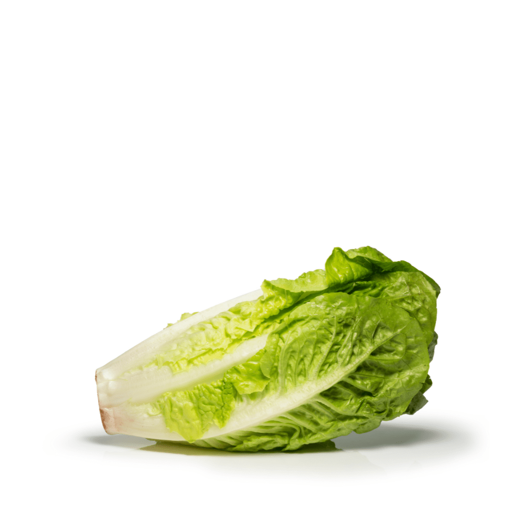 Lettuce Romaine Seeds - Apnaugao