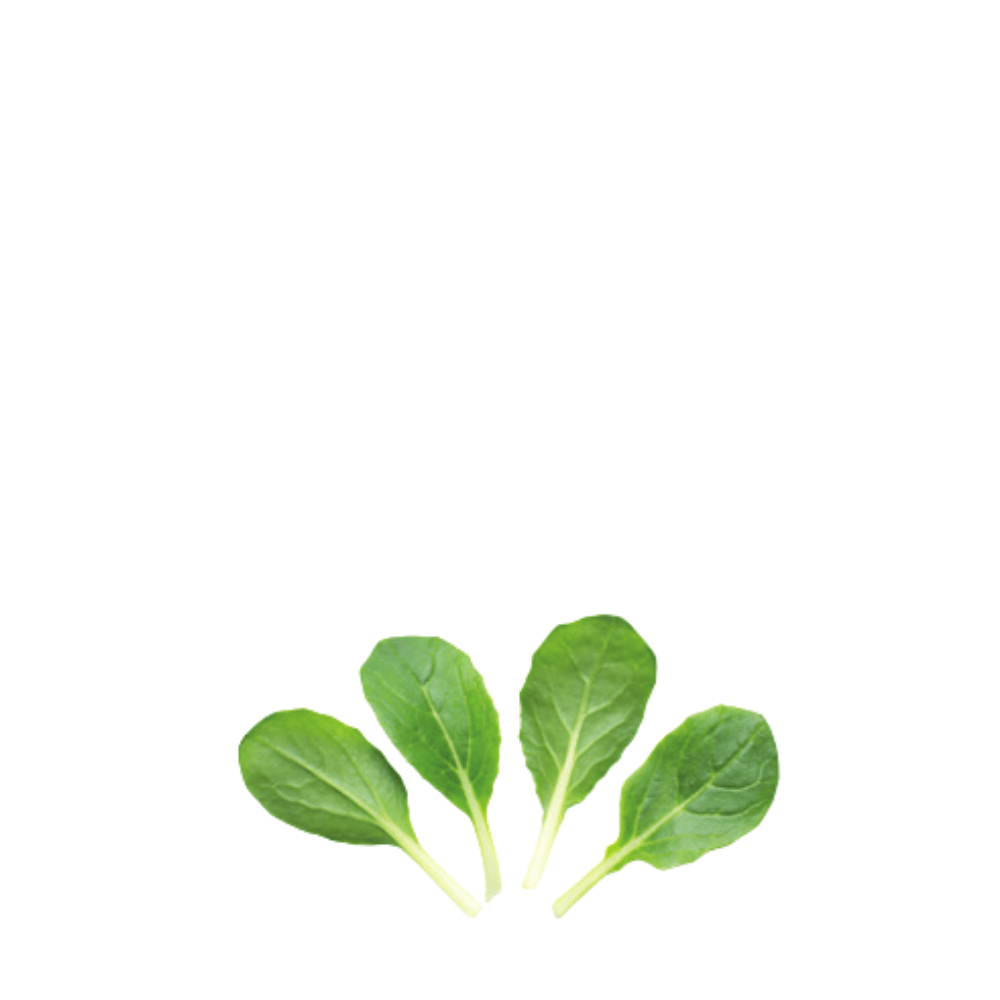 ORGANIC BABY LEAF "PACK CHOI WHITE STEM " - Apnaugao
