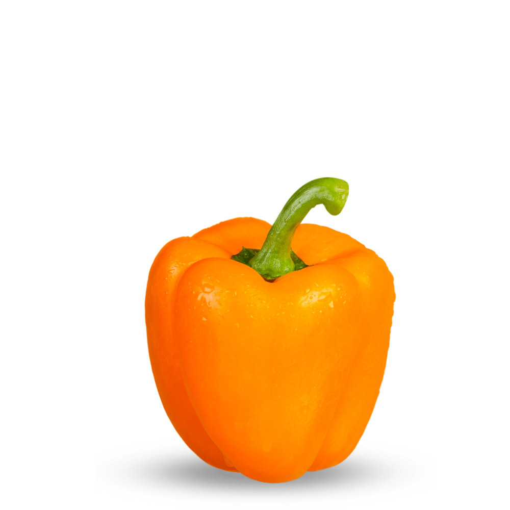 Heirloom Exotic Colored Capsicum ( Orange ) Seeds - Apnaugao