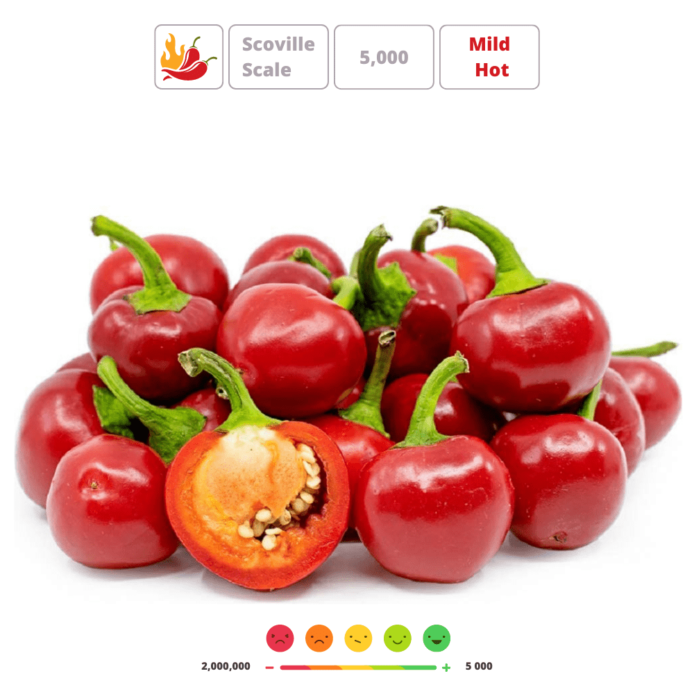 RED CHERRY SMALL' Hot Chilli Pepper Seeds - Apnaugao