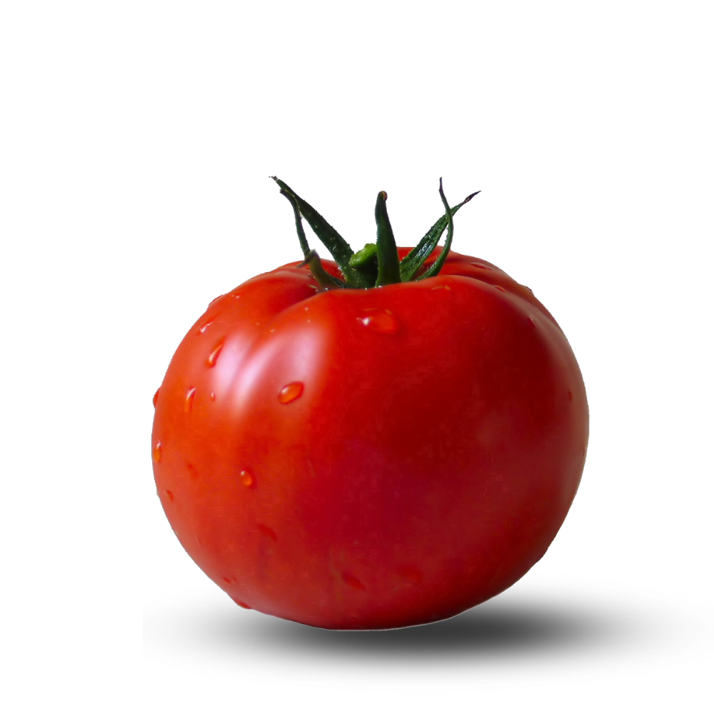 Heirloom Tomato Seeds - Saint Pierre