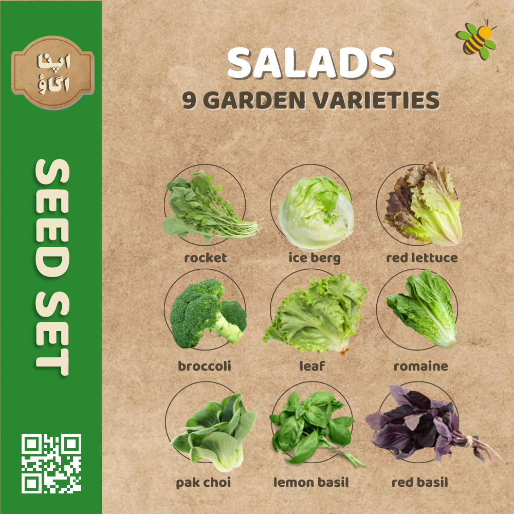 Salads Seed Seed Set