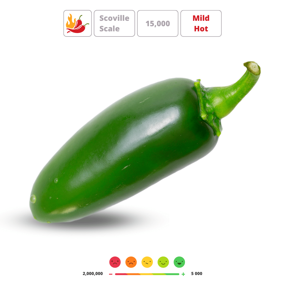 SERRANO' Hot Chilli Pepper Seeds - Apnaugao