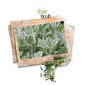 Sage Seeds - Apnaugao