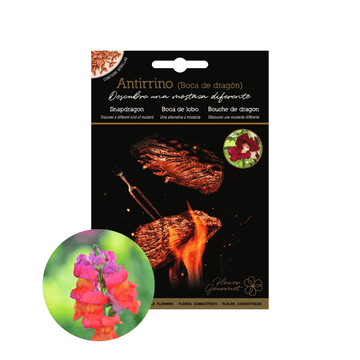 Antirrhinum SNAPDRAGON Edible Flower Seeds - Apnaugao