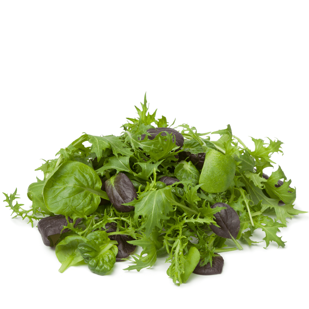Gardening scene with microgreens package, hands in gloves, and gardening tools on a white background