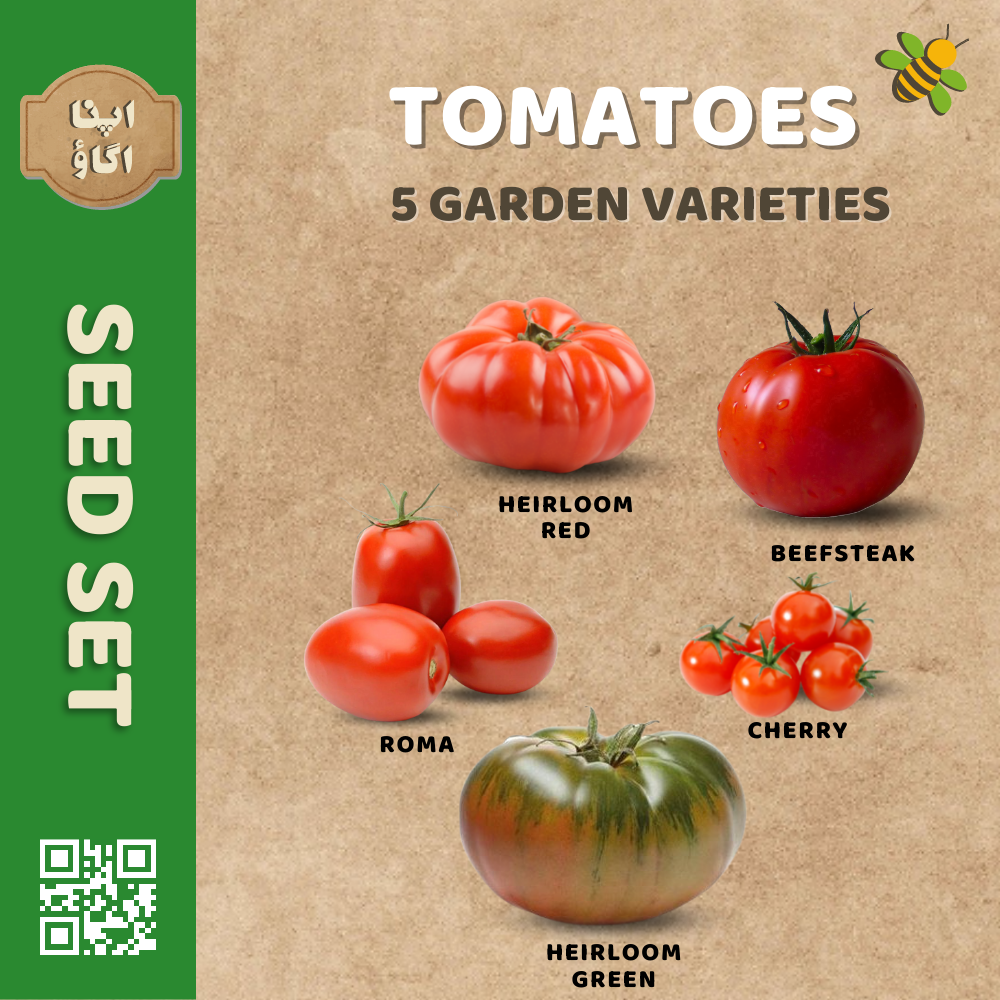 Tomatoes Seed Sets