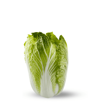 Heirloom China Cabbage ( Napa Cabbage) Seeds - Apnaugao