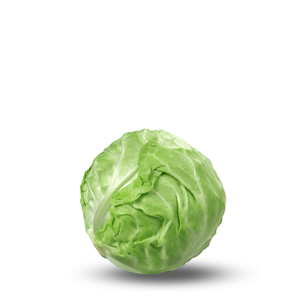 Heirloom Cabbage Green Seeds (Band Gobi) Seeds - Apnaugao