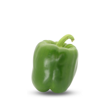 Heirloom Green Capsicum ( Green Shimla Mirch ) Seeds