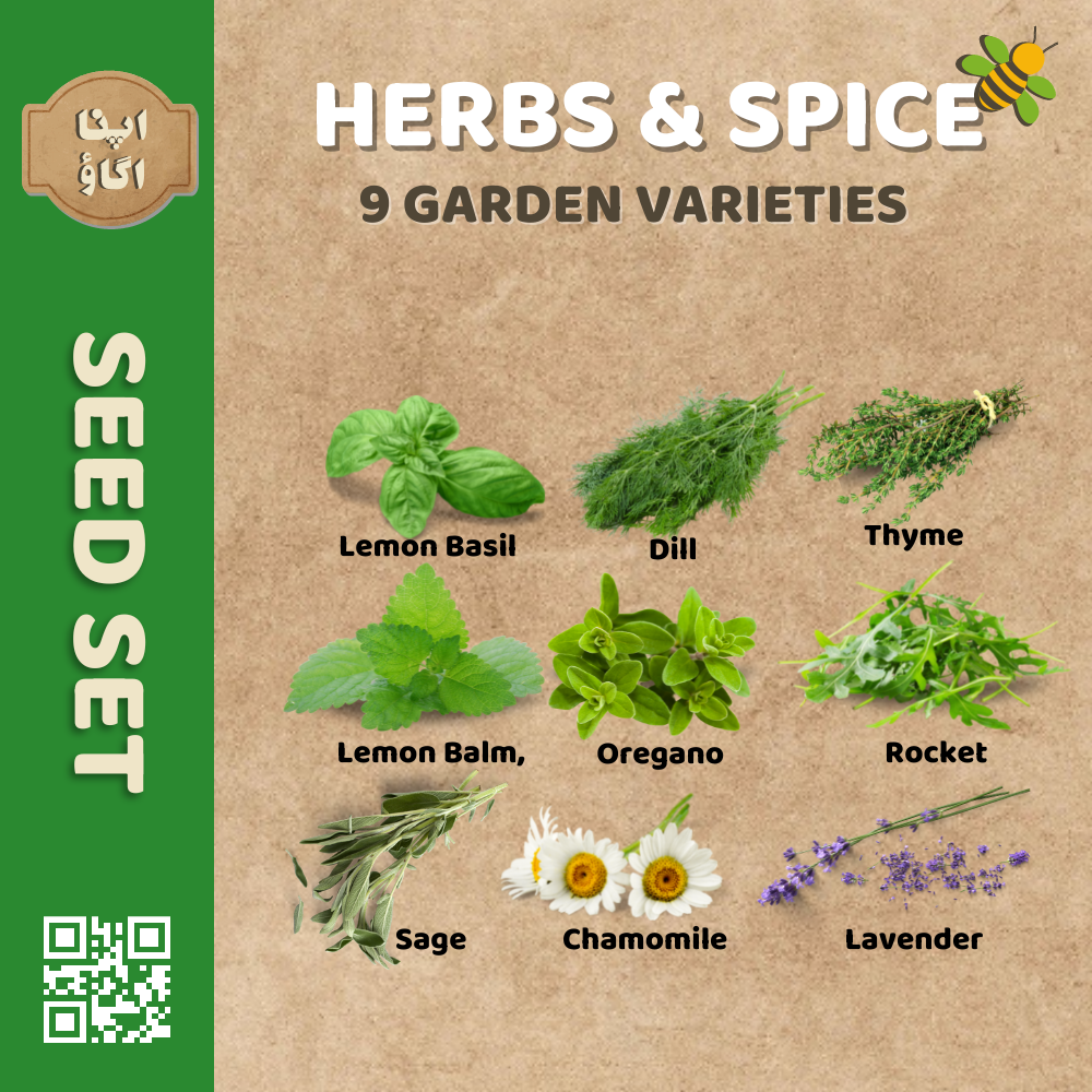 Herbs Seeds Set