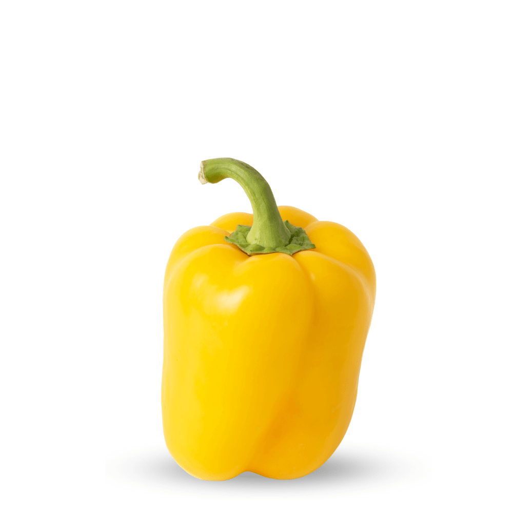 Heirloom Exotic Colored Capsicum ( Yellow ) Seeds - Apnaugao
