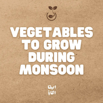 10 Vegetables to Grow During Monsoon