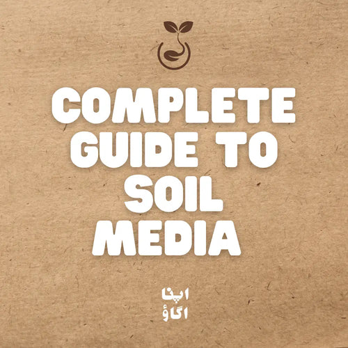 Complete Guide to Potting Mix and Soil Media in Pakistan