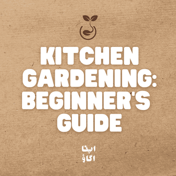 Kitchen Gardening in Pakistan: Complete Beginner’s Guide to Grow Fresh Vegetables at Home