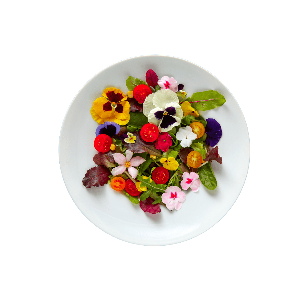 FAQ : Growing Edible Flowers - Apnaugao
