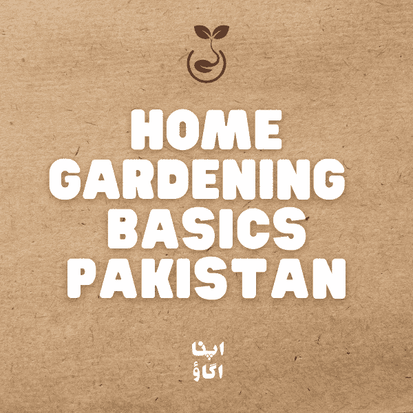Home Gardening Complete Guide for Pakistan