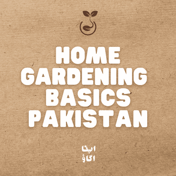 Home Gardening Complete Guide for Pakistan