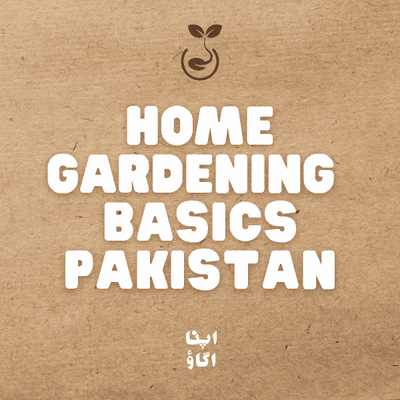 Home Gardening Complete Guide for Pakistan