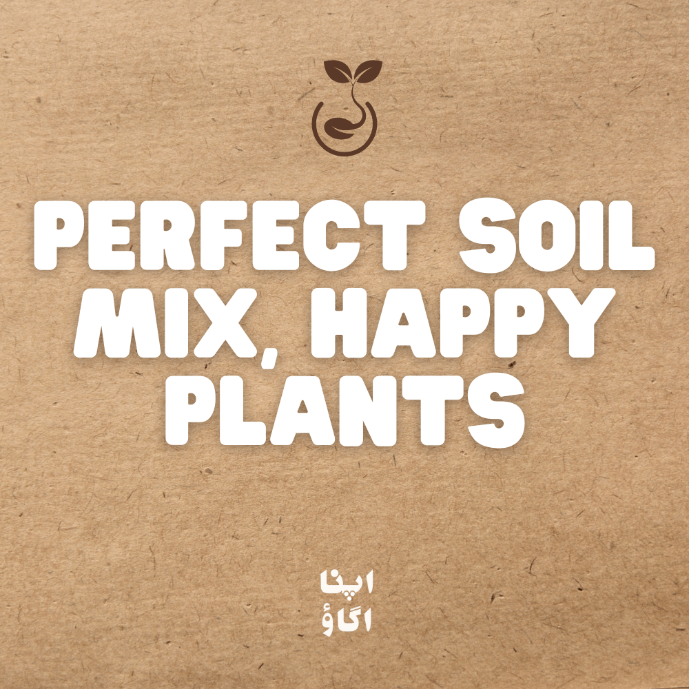 Perfect Soil Mix, Happy Plants - Apnaugao