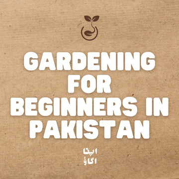 begginners gardening guide in Pakistan