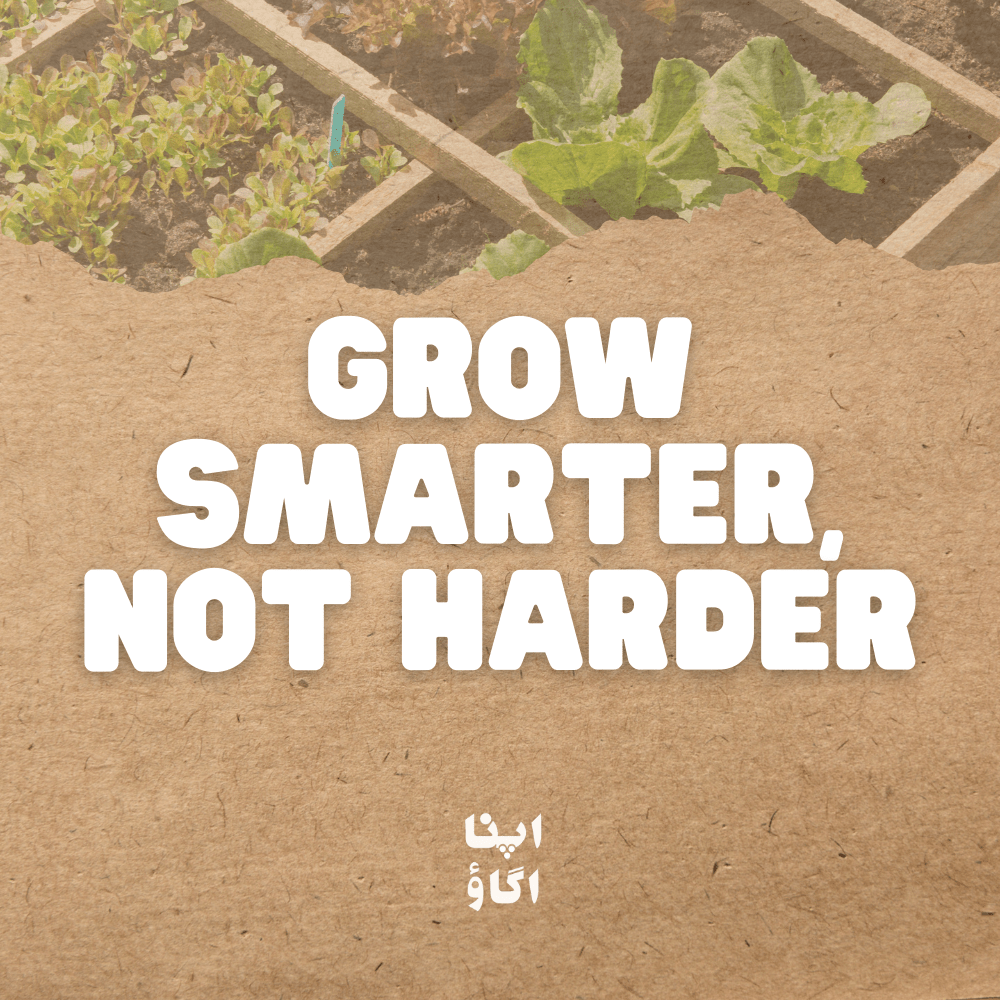 Grow Smarter, Not Harder: Secrets of Square Foot Gardening - Apnaugao