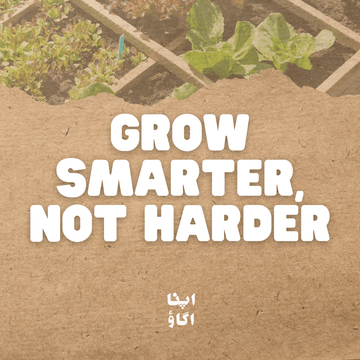 Grow Smarter, Not Harder: Secrets of Square Foot Gardening - Apnaugao