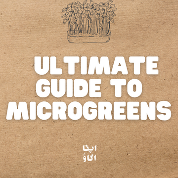 The Ultimate Guide to Microgreens: Cultivation, Nutrition, and Culinary Marvels