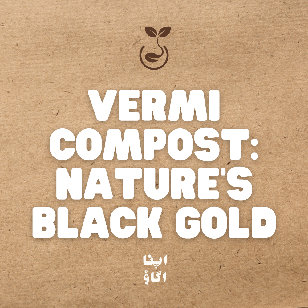 Vermicompost: Nature’s Black Gold for Healthy Soil - Apnaugao
