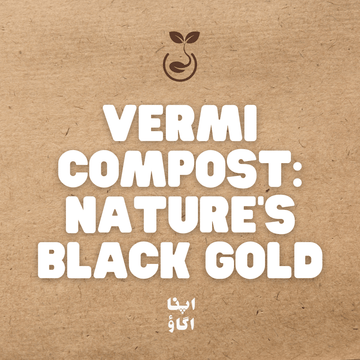 Vermicompost: Nature’s Black Gold for Healthy Soil - Apnaugao