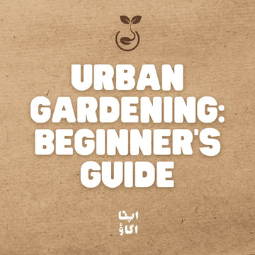 urban gardening in pakistan - solving food security issues