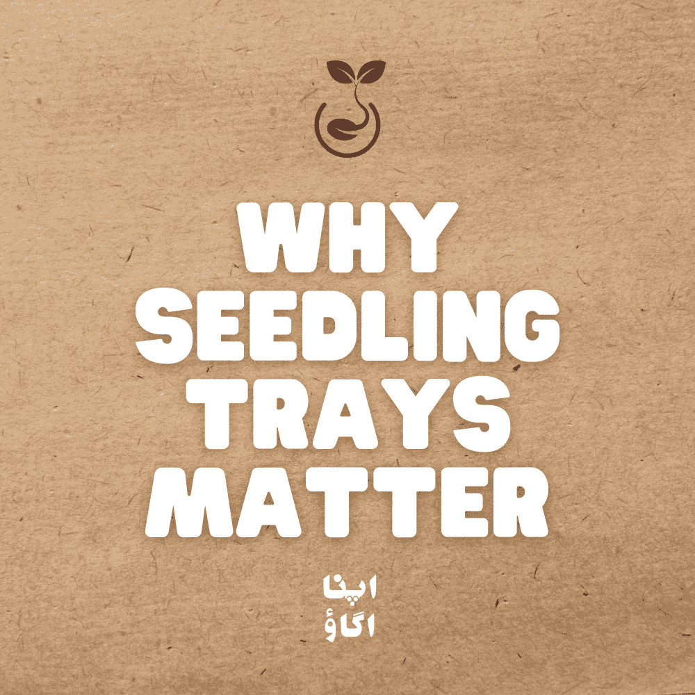 How to choose the right seedling tray for home gardeners in Pakistan - ApnaUgao