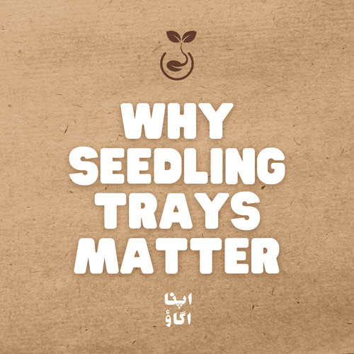 How to choose the right seedling tray for home gardeners in Pakistan - ApnaUgao