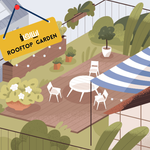 Rooftop edible garden in Pakistan with vegetables and herbs in pots and grow bags