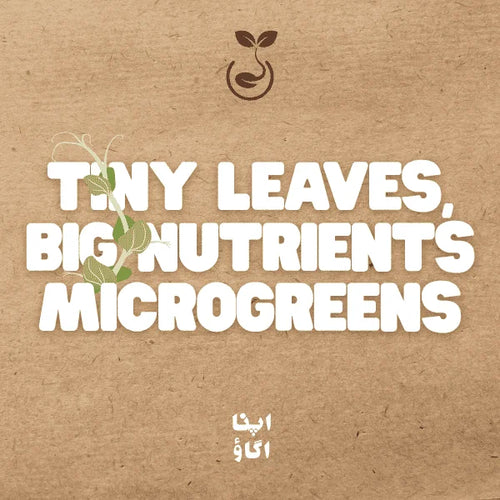What Are Microgreens? The Easiest Indoor Garden for Pakistani Homes