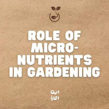 How to Use Grow Magic Micronutrients: Fix Yellow Leaves & Boost Growth in Pakistan