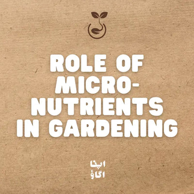 How to Use Grow Magic Micronutrients: Fix Yellow Leaves & Boost Growth in Pakistan