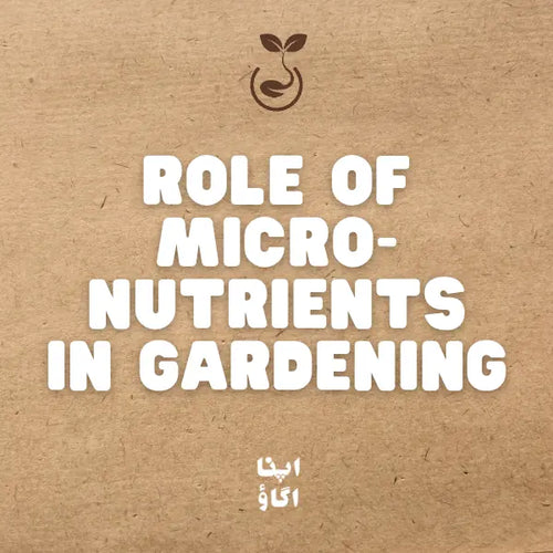 How to Use Grow Magic Micronutrients: Fix Yellow Leaves & Boost Growth in Pakistan