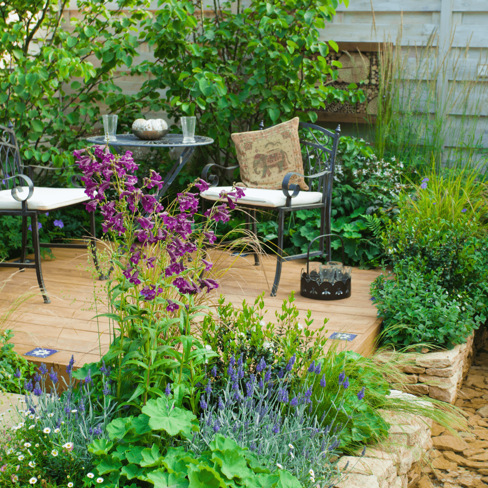 Monsoon Container Gardening: Tips for Growing Plants in Pots during the Rainy Season - Apnaugao