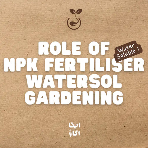 NPK Fertilizers Explained: How to Use High N, High P, High K in Home Gardening