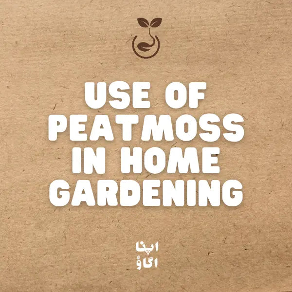 How to Use Peat Moss in Home Gardening: Complete Guide for Pakistan